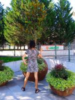 646835525: Transexual en Vizcaya