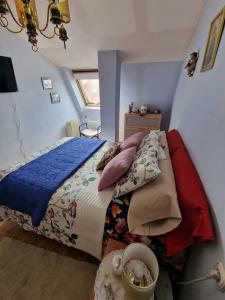 691557765:  en León