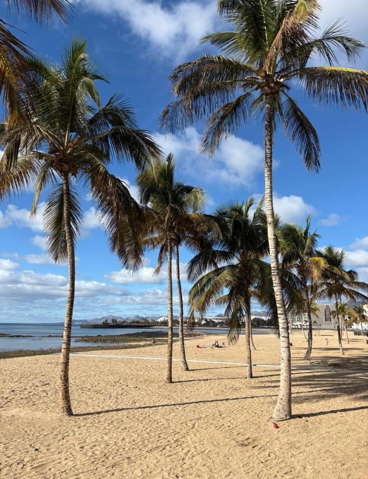 627315883: Chico busca chica en La Coruña
