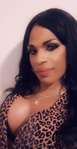 604176156: Travesti en Sevilla