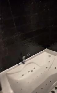 613392009:  en Alicante