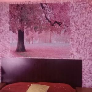 631265949:  en Valladolid