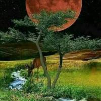 642108692: Chica busca chico en Huelva