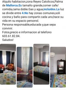 603618284:  en Mallorca