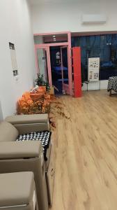 664446999: Chica busca chico en Madrid