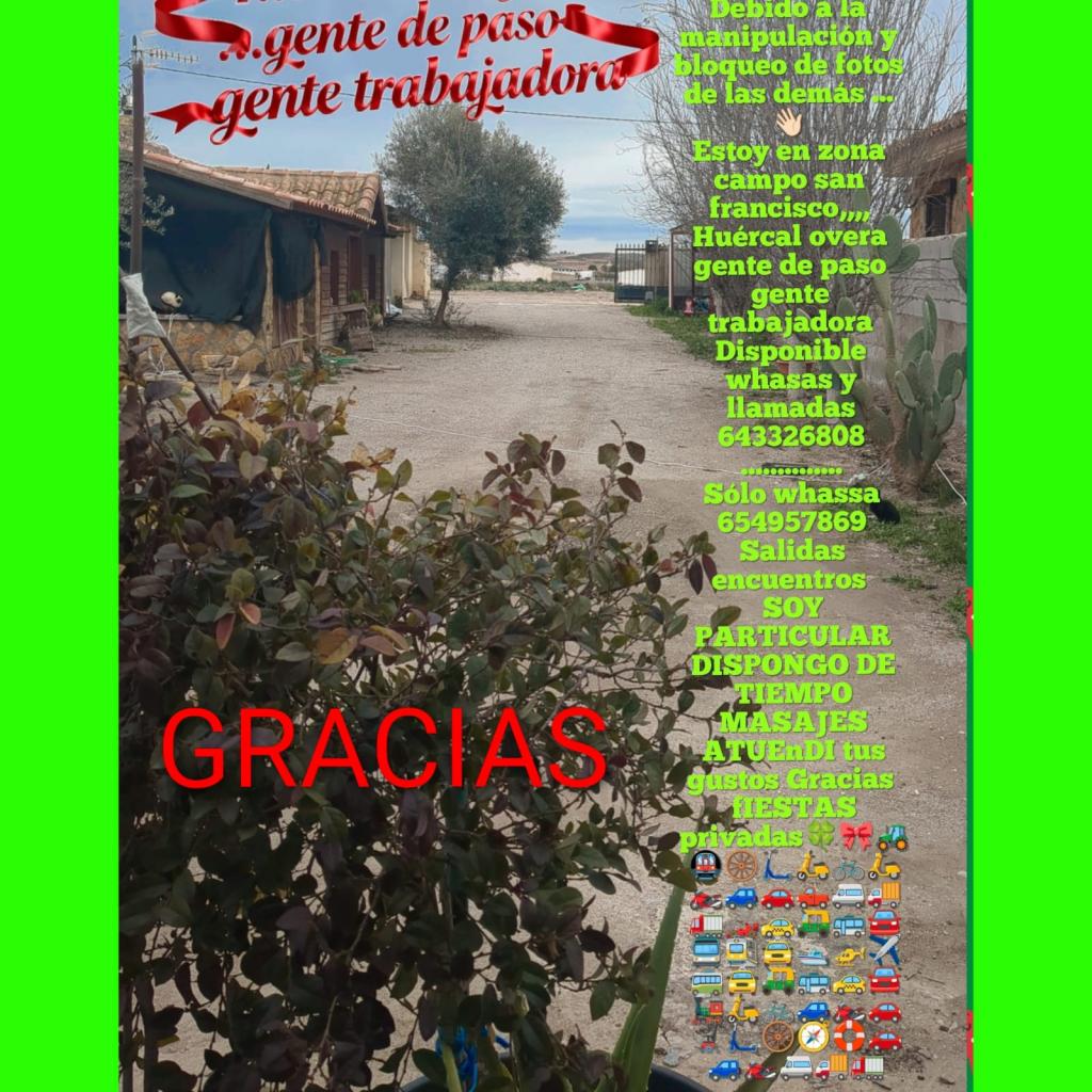 Virtual en Almería: 