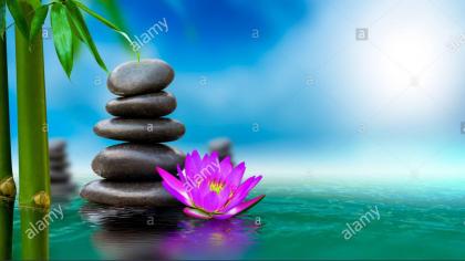 Chica busca chico en Vizcaya: 