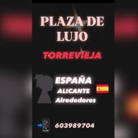 667237224:  en Alicante