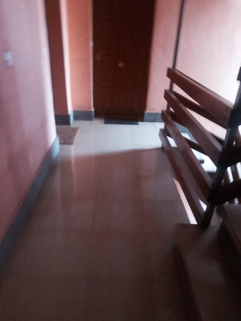 613872363:  en León