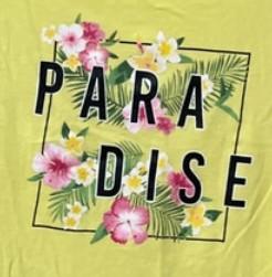 641994471: Chica busca chico en Soria