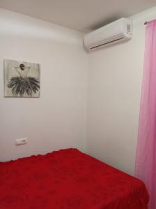 654969564:  en Alicante