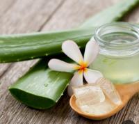 603958412: Chica busca chico en Alicante