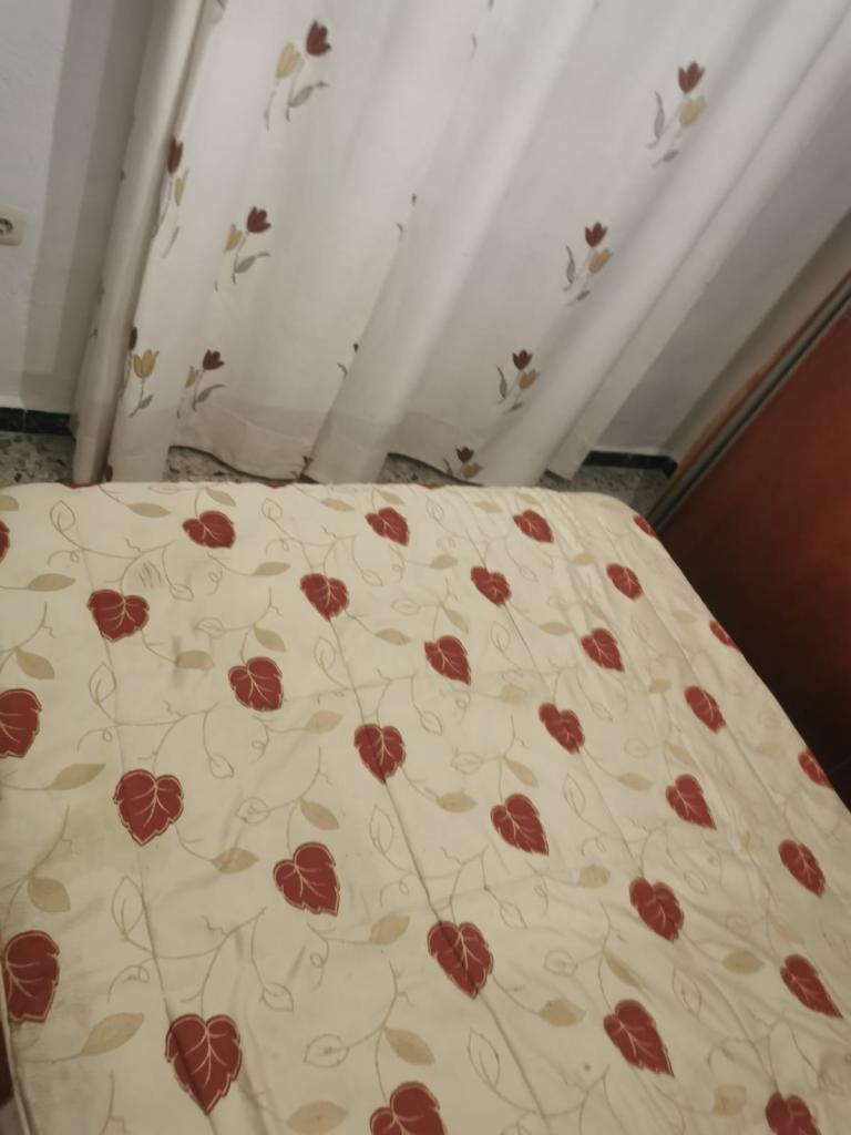 614319714:  en Cádiz