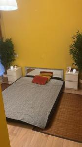 632646506:  en Asturias