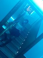 631463785: Travesti en Guipúzcoa