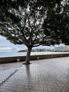 624372423: Virtual en Mallorca