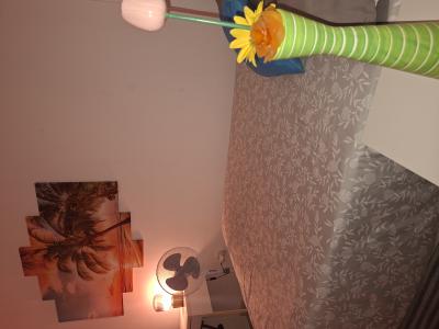 678681677:  en Las Palmas