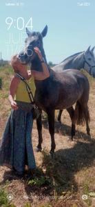 603982489: Chica busca chico en Mallorca