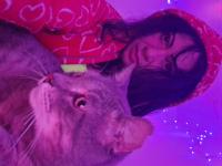 711526950:  en Valencia