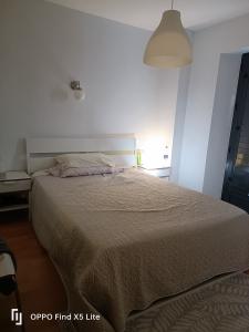 687780189:  en Granada