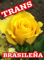 640534401: Transexual en Castellón