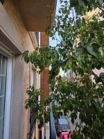 623273733: Chica busca chico en Valencia