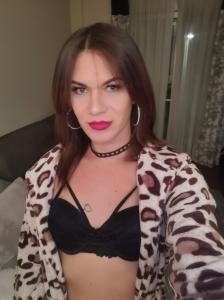 604115386: Travesti en Guipúzcoa