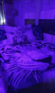 655812711:  en Granada