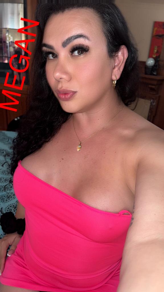 Travesti en Tarragona: 