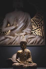 Chico busca chica en Málaga: 