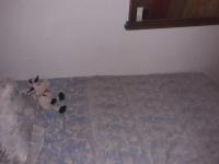 624565078:  en Almería