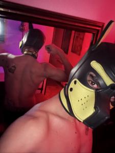 Chico busca chica en La Coruña: 