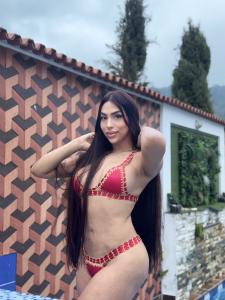 742092834: Travesti en Navarra