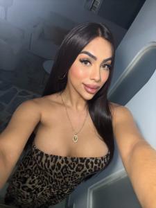 742092834: Travesti en Navarra