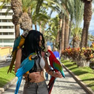 637536465: Travesti en Navarra