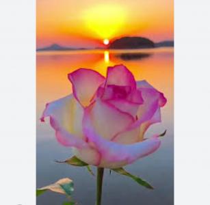 634194872:  en Las Palmas