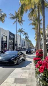 603172682:  en Mallorca