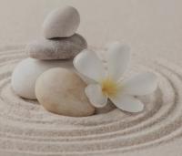 688394537:  en Madrid