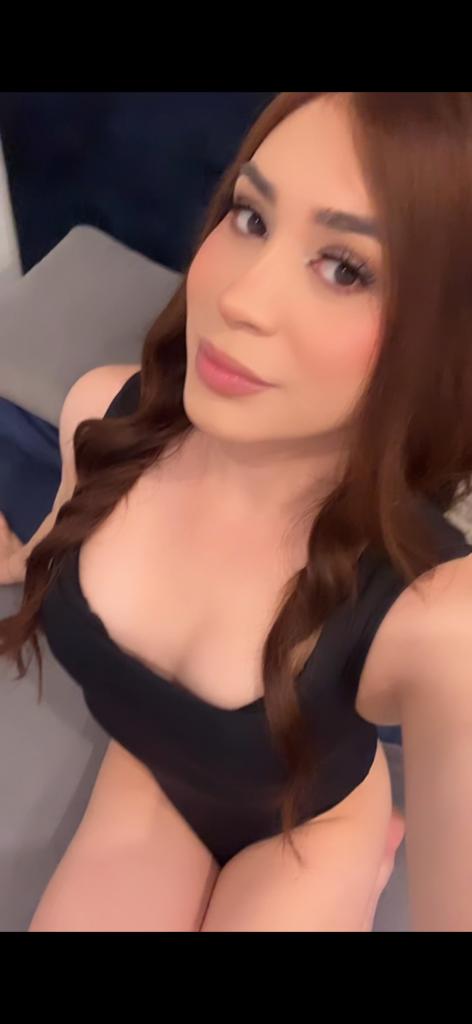 Travesti en Cantabria: 