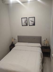 614506240:  en León