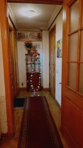 663314365:  en Madrid