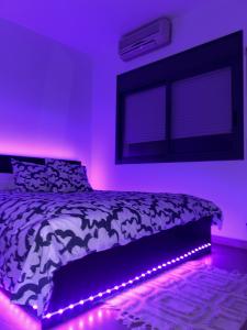 618447842:  en Lérida