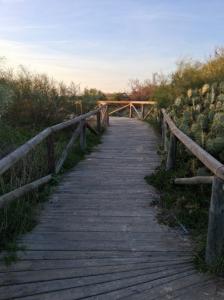 624358453: Chico busca chica en Cádiz