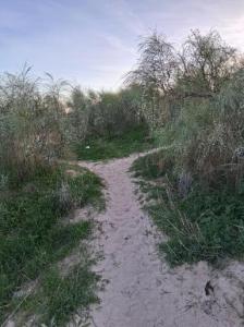 624358453: Chico busca chica en Cádiz