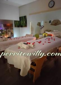 691482245: Chica busca chico en Sevilla