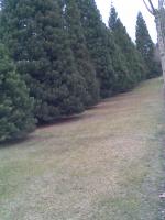 605391353: Chica busca chico en Guadalajara