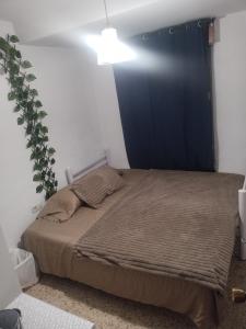 632560017:  en Cádiz