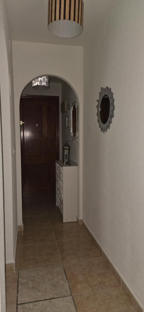 608221113:  en Alicante