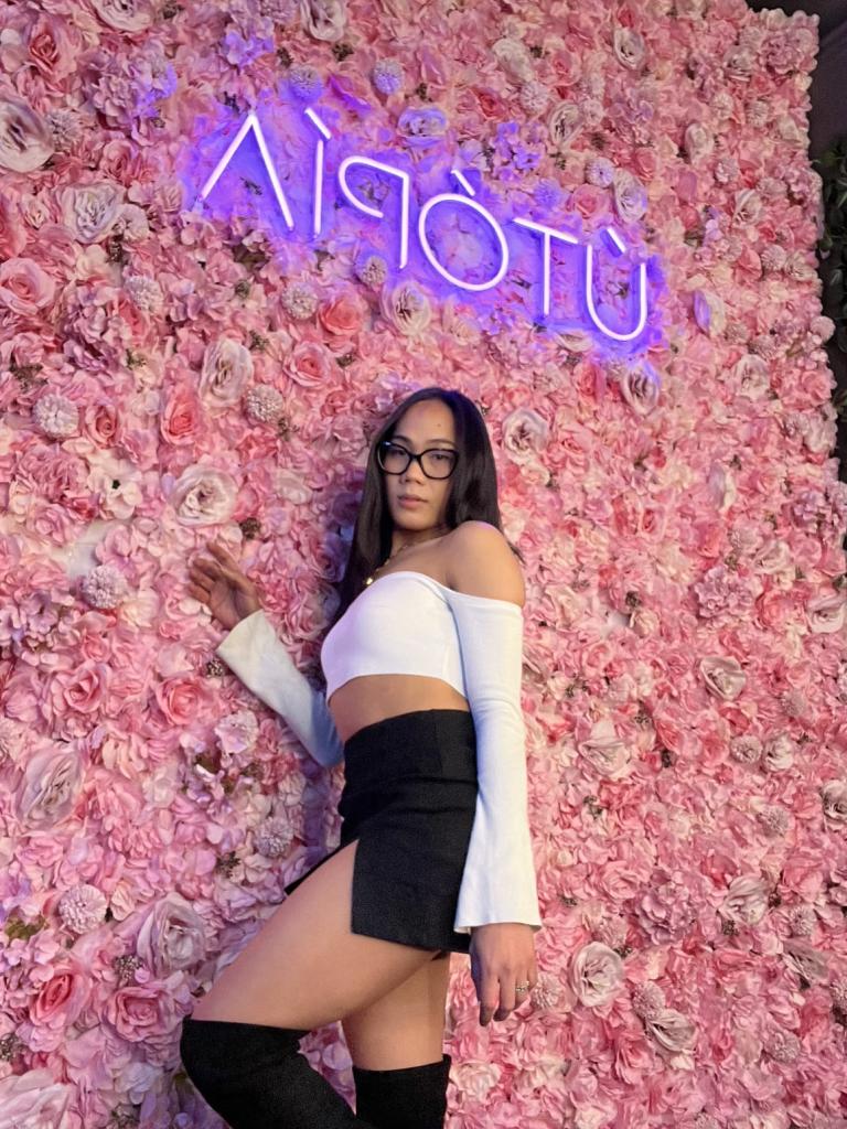 Travesti en Alicante: 