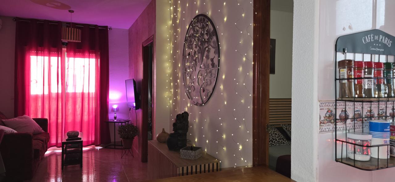 608221113:  en Alicante